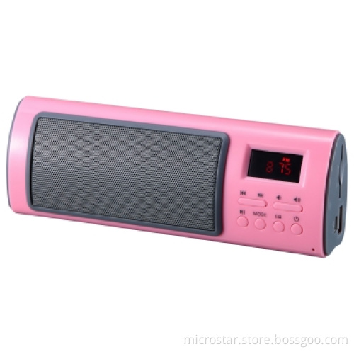 2.0 Portable Speaker Mini Speaker Box with FM Radio